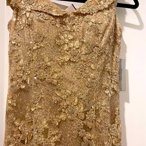 NWT rickie freeman Terri Jon evening dress!